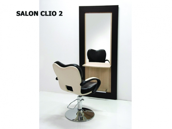 CLIO 2 SALON